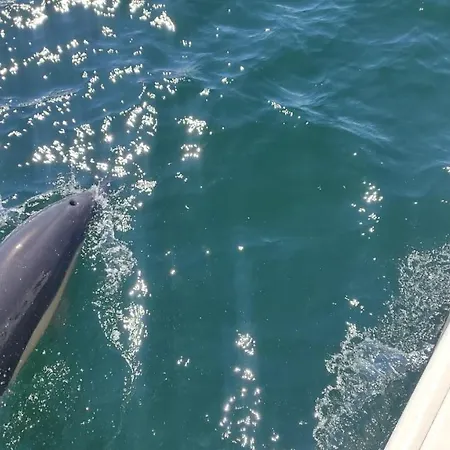 Apartman The View - Sea, Surf And Lisbon *